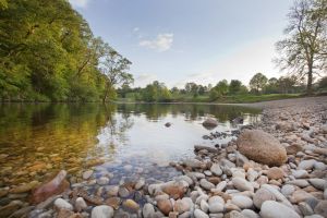 bolton abbey 8 sm.jpg